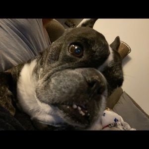 Meet your Posher, Fred